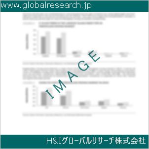 グローバルリサーチ調査資料のイメージ